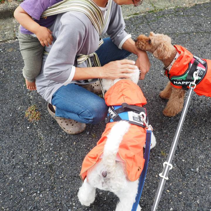 C2ab046b a736 49f4 871d d1d5136886a7 1537589407927