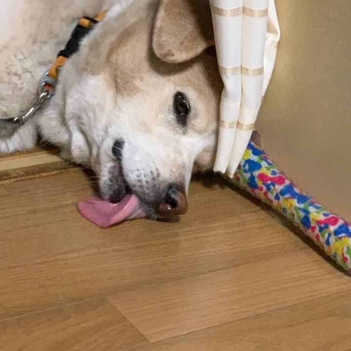 C2ab486c 9eef 4653 ae0e 7d44327887c7 1624843104967