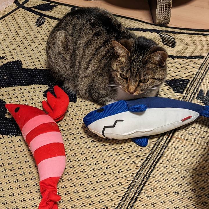 C2ab74db 3176 4bb4 aceb 01a13b80bc34 1716982237629