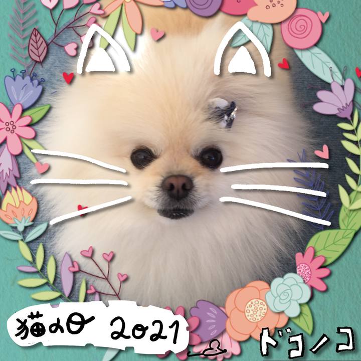 C2ab8683 5c29 41e7 ab5c 3db27ebb4a1a 1614047716984