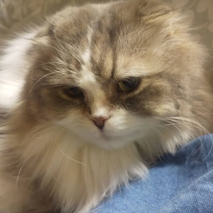 C2abb797 3aa2 473e ae28 26bb1a257a6d 1706278499765