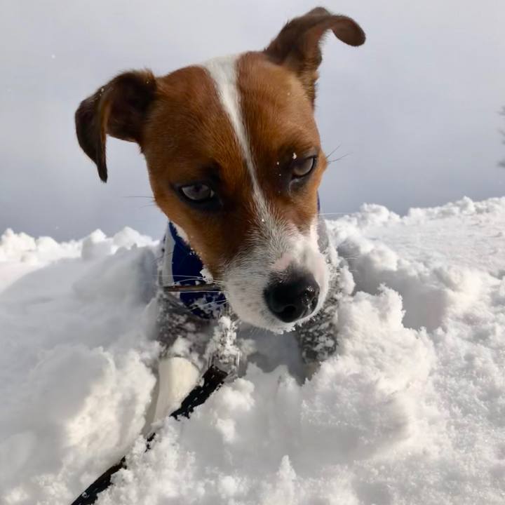 C2ac5920 9dff 4c4b afe9 3c7caa6eb0bb 1548338324314