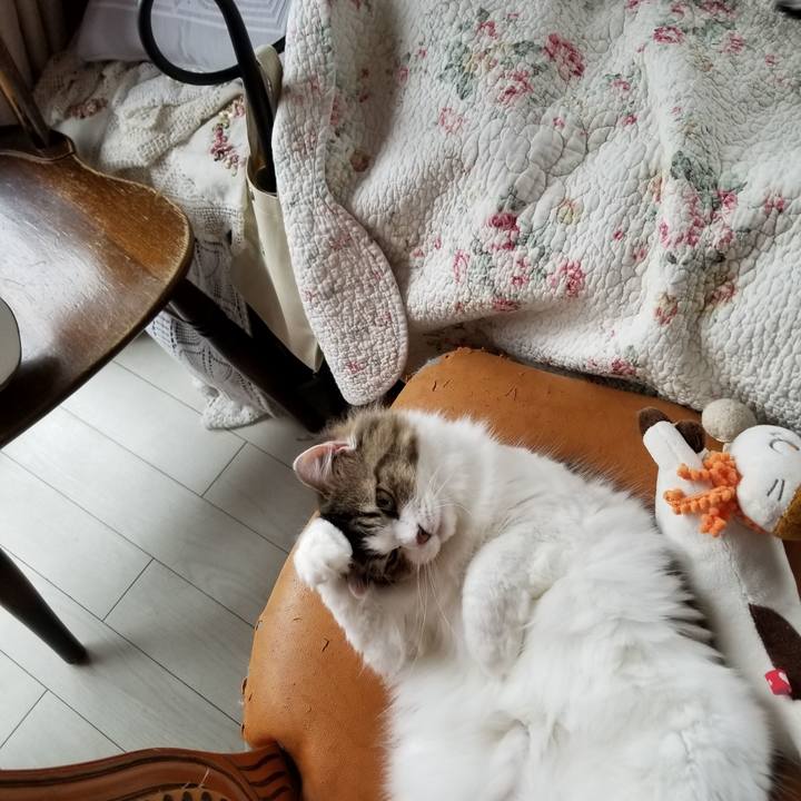 C2ac6140 1e43 496f a204 6aca196f6764 1538342465354