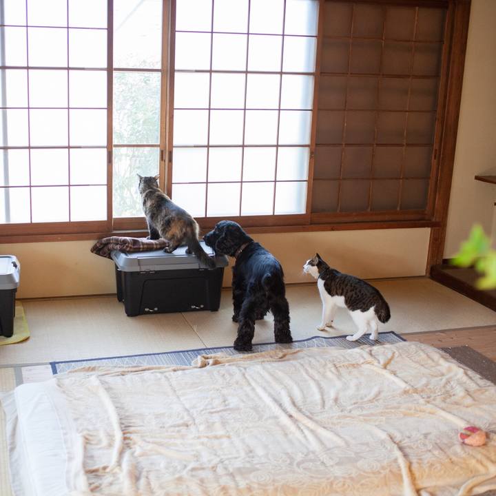 C2ac6504 d9ef 4974 b306 749ad1d3b3f4 1574221793801