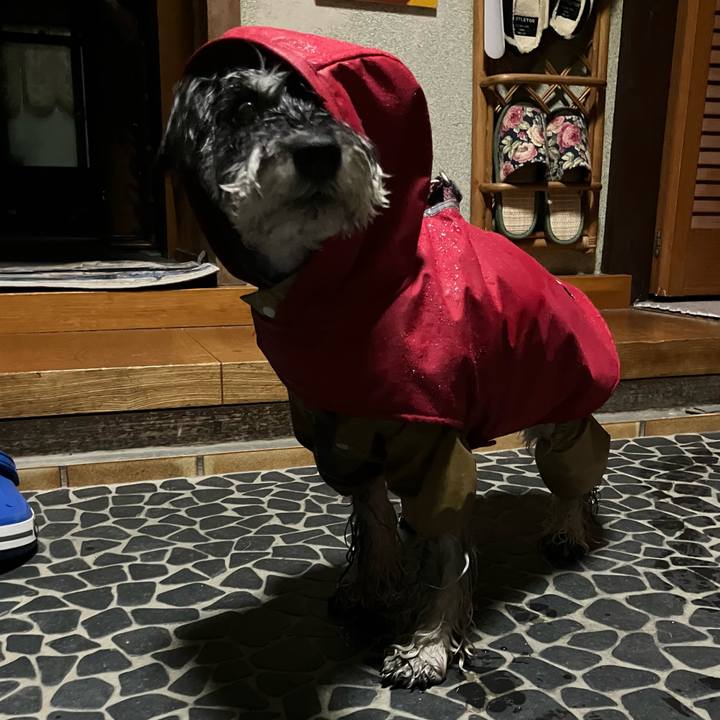 C2ac9180 4a2a 48ea 93c7 39a01cf1d498 1743174648230