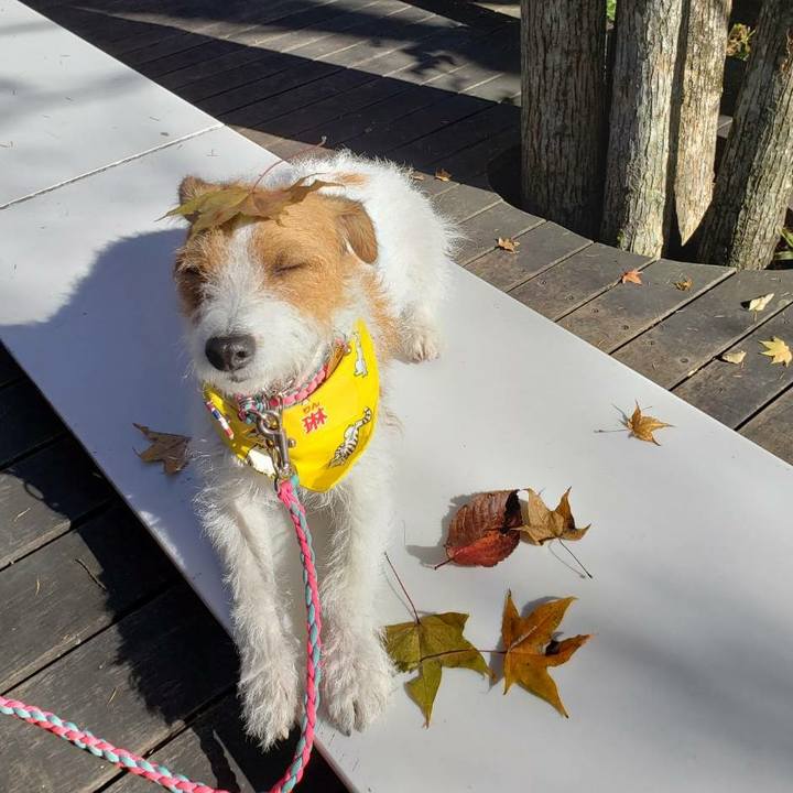 C2ac9f56 e36a 44bf 800c e51bbda94b76 1573261607091