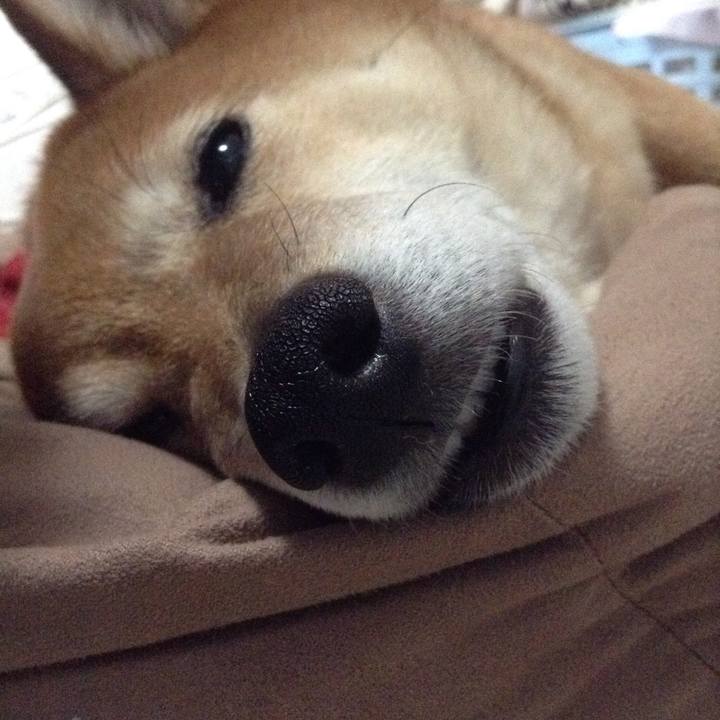 C2accd1f 66a2 4a91 a9af 674a6b118ca9 1524271601464