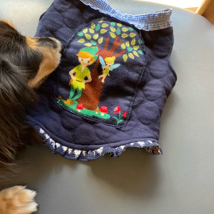 C2acf368 1eef 4c7b a9e0 31fe716190f9 1697765194941