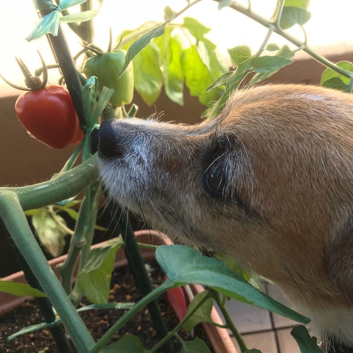 C2ad1298 8742 4528 98dc 4280d5217044 1530318005223