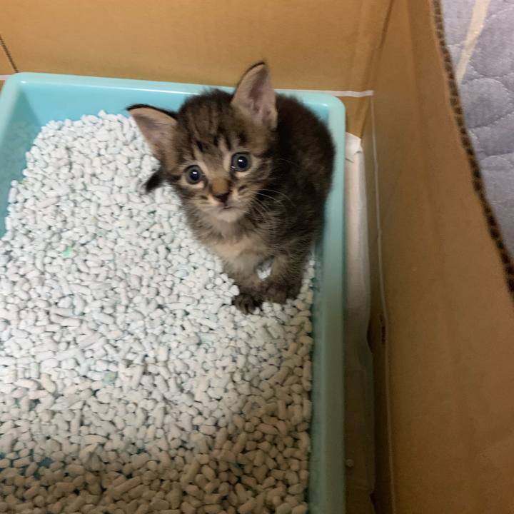 C2ad1565 e895 4692 afe0 e78f62384c90 1563700703450