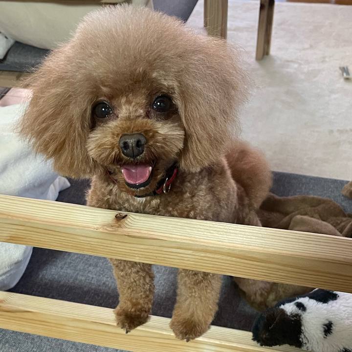 C2ad31f7 1617 4da4 b300 ce623e488c50 1642827928757