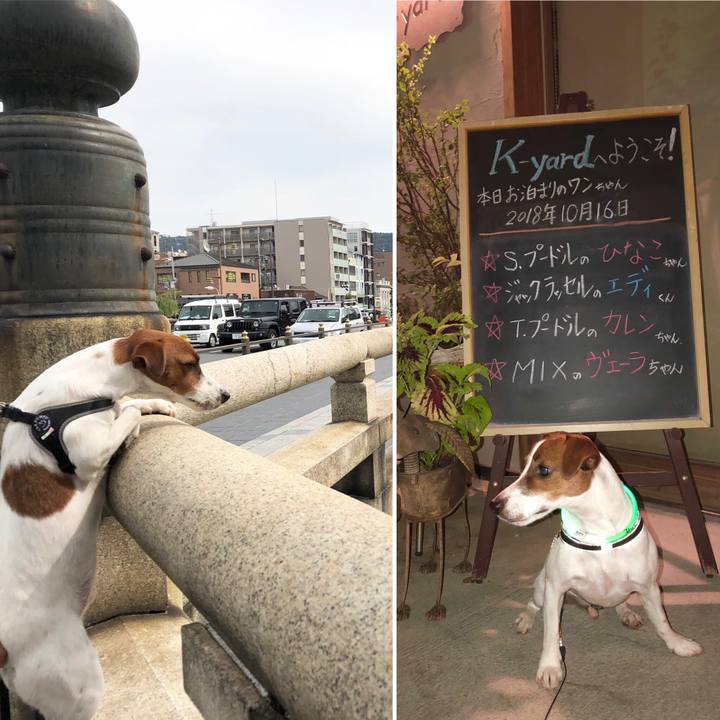 C2ad5605 408d 4f02 8524 275eb4f5537a 1539686326156