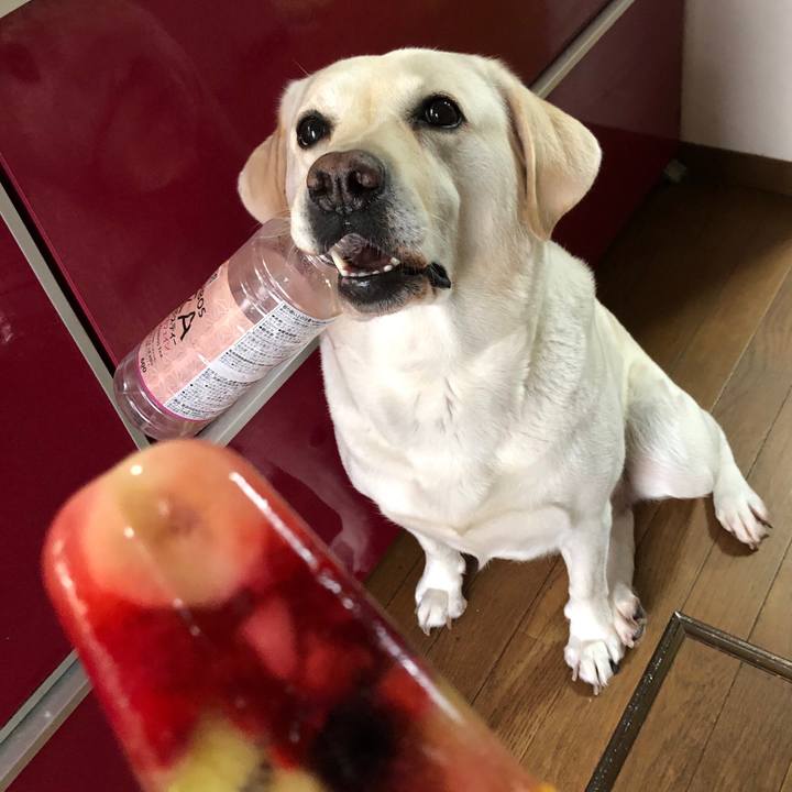 C2ad65ca 8cd3 49c7 906e e14342792998 1600690987803