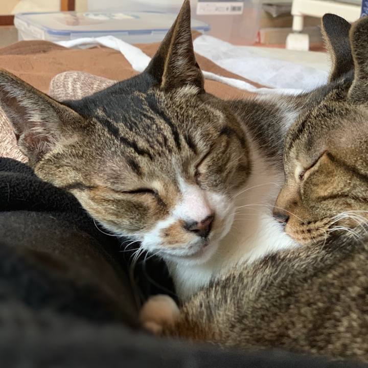 C2ad8a84 6707 4631 b3e1 de9e190afcd4 1550797315288