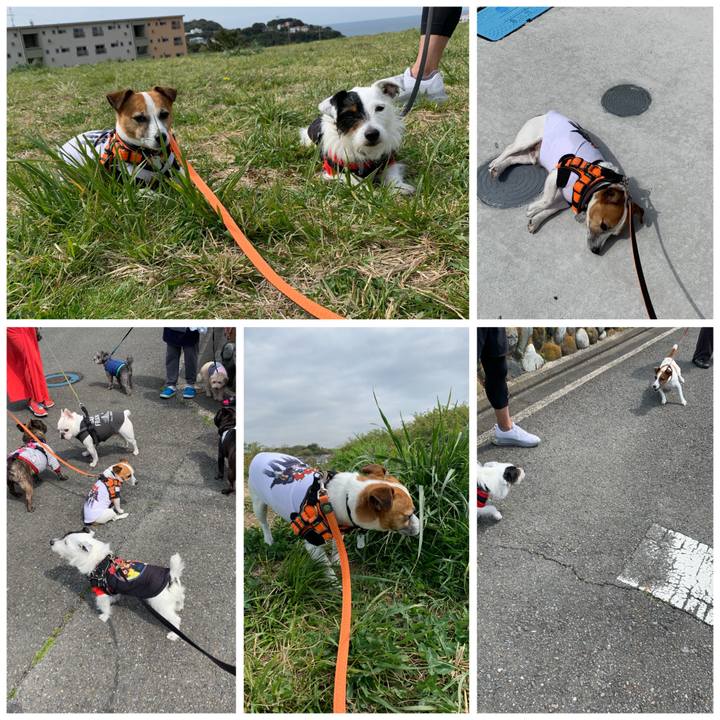 C2adabe6 4a47 414e bc4f dfa3089abac7 1587087599000