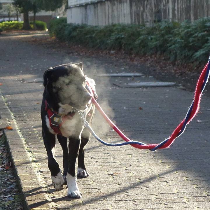 C2add328 41a6 41be 8e38 11aa39ea0298 1606351457679