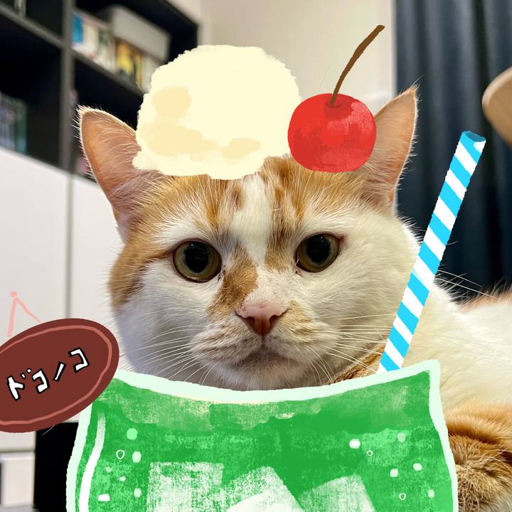 C2adf685 b073 4eb0 a317 f6410a721ff6 1755079628014