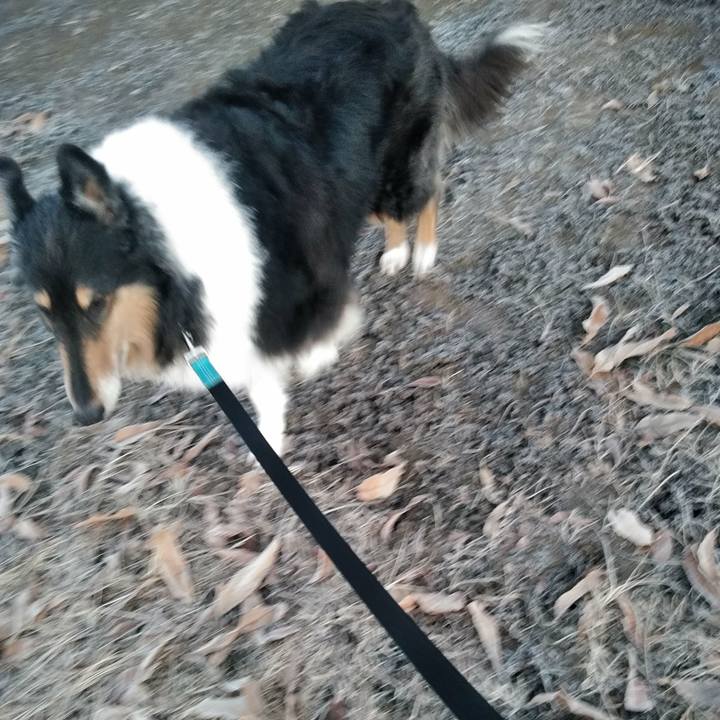 C2ae0c74 c80f 440c 8213 d0b290c555df 1512652540611