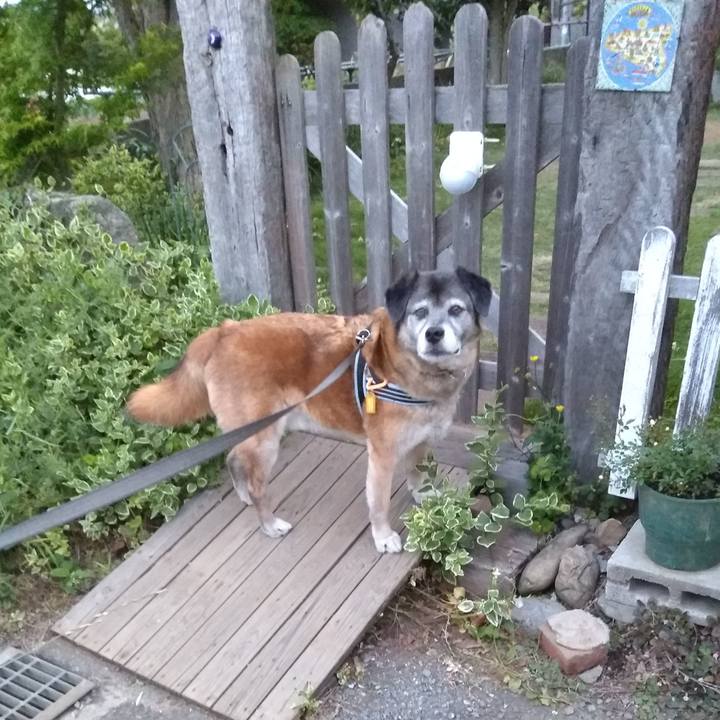 C2ae0d91 ae1d 4263 8eda a514c293311d 1557743448533