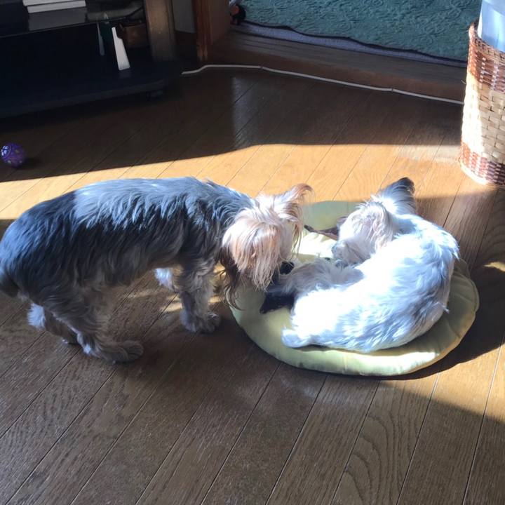 C2ae1bd8 6fa5 428e bfef 9736d88a055e 1572688407958