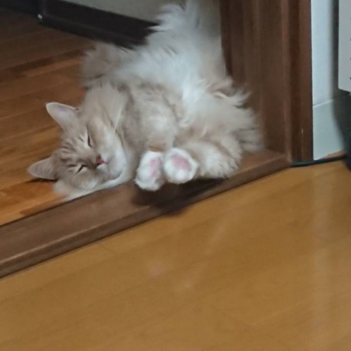 C2ae2e6c 82b5 4bf3 9664 82213c99a28a 1565274948923