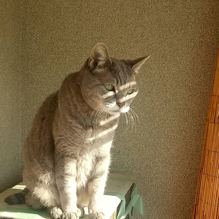 C2ae3951 3c30 469c 93b0 89eb7cb9fb5c 1674006505437