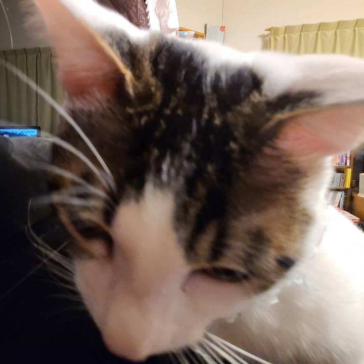 C2ae6b18 a366 4345 a103 ef0b85ddc594 1646727850398