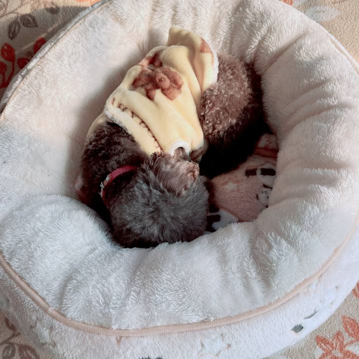 C2aec9d9 5d81 4c5e 9eda 83c897c84bc3 1706507260480