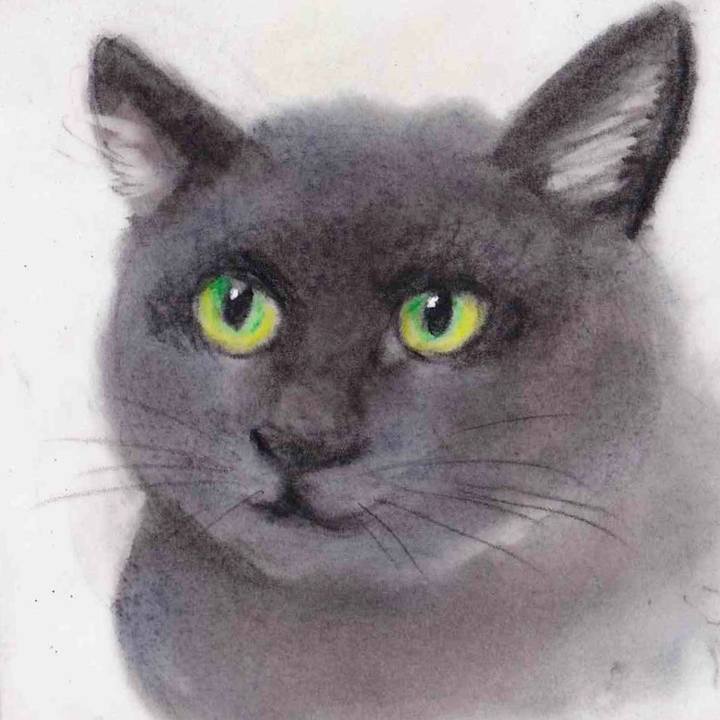 C2aee146 e890 45fd be66 ed1ee11c9dae 1638546648026