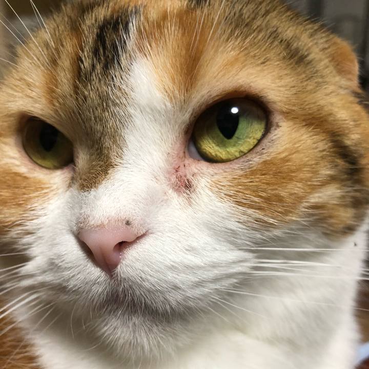 C2af12a0 3bcc 4e42 8d97 e6b8e314a17e 1557062299426