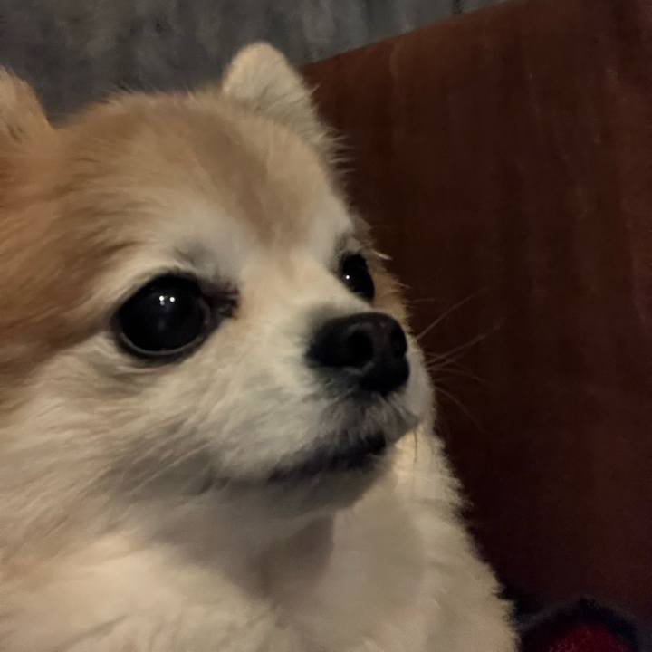 C2af3d98 1d7c 4e57 a60a 465a34840d31 1766395930751