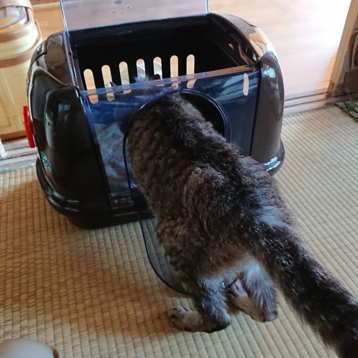 C2af7307 080b 4d3f b219 667e3a170565 1591490150259