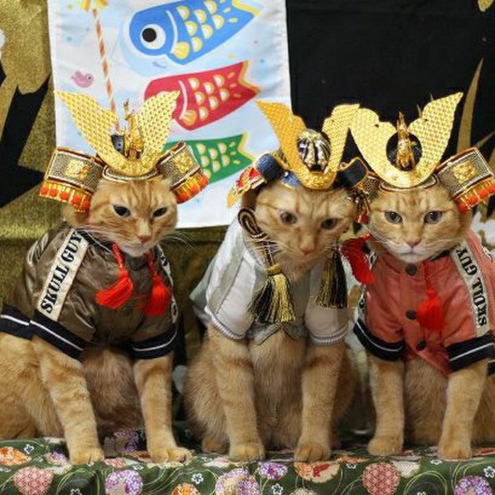 C2afacb5 0eb2 4f3d aacd c85452fed9dd 1588606104001