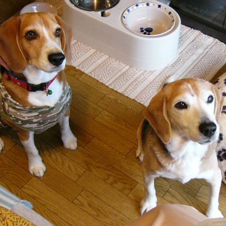 C2afcd03 8c51 454d 8689 a3cb67a6f10e 1662776849157