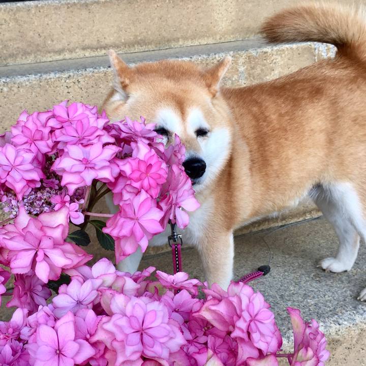 C2afdaa9 f2e7 4fbe a225 5a29025458c1 1592124871791