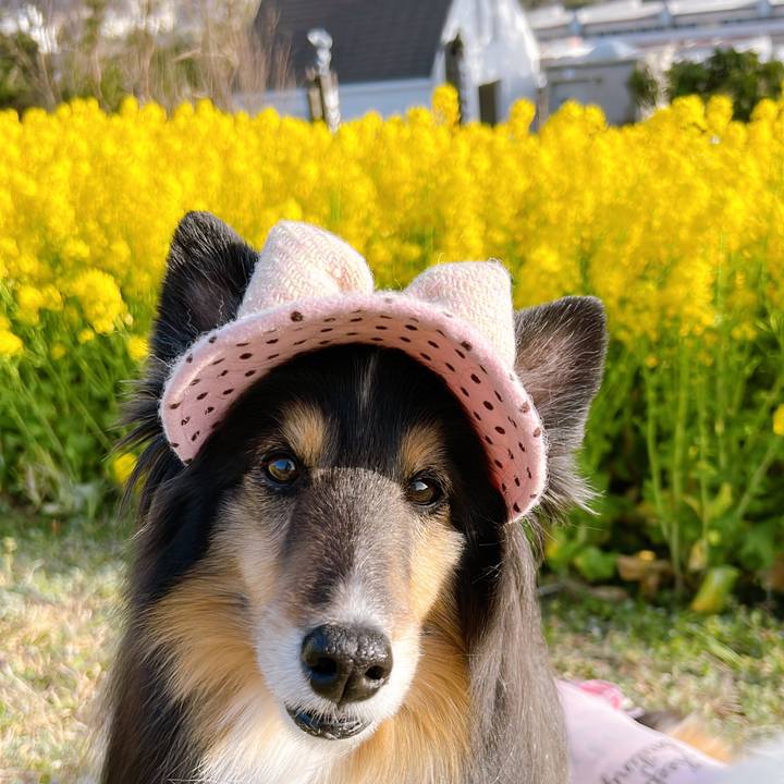 C2aff3fc 729d 4642 bfc6 ba6b9624c357 1647551883173