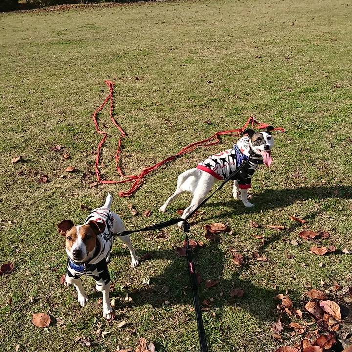 C2aff6dd b77a 42ee ad76 913d7b42dd01 1543631320999