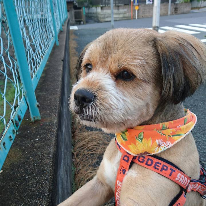 C2b03803 dd41 440b 9f92 e9bce87778fe 1532295419168