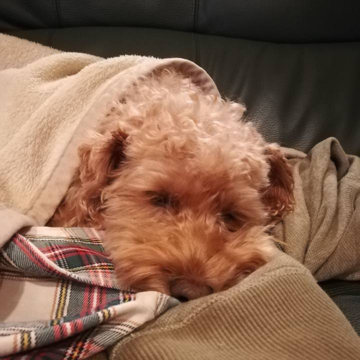 C2b04108 0c9c 4593 ba77 3812d0feb325 1551827987251