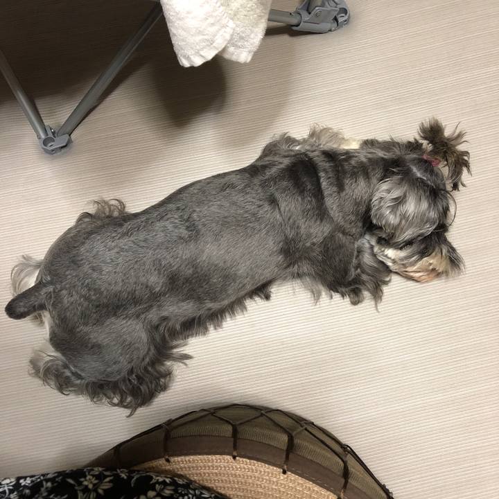 C2b04bfe c338 4ca9 8d7a 24a6b4ea99db 1568983555487