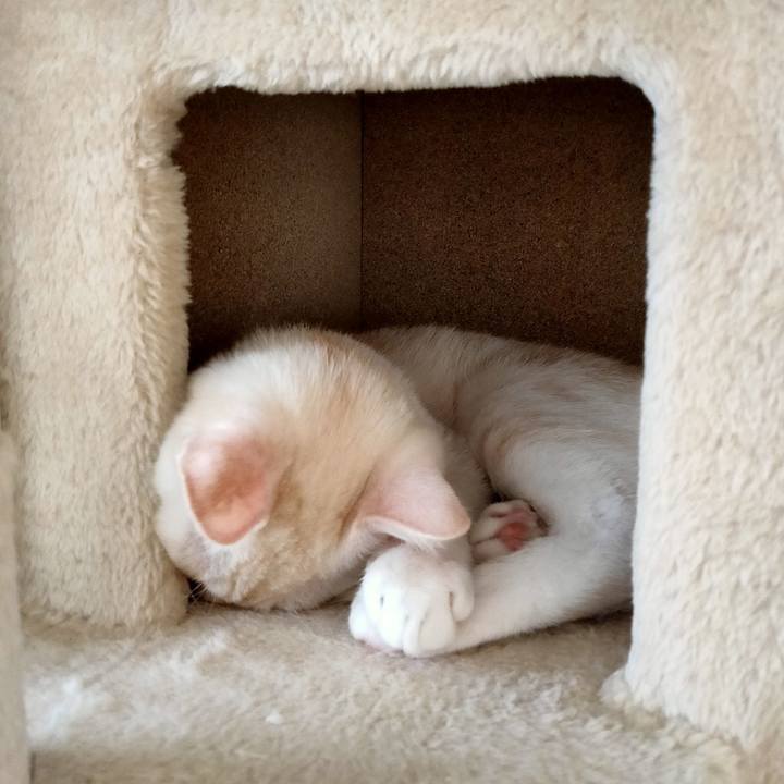 C2b04c75 abbf 44eb badf 84290d2bb0f2 1628660023592