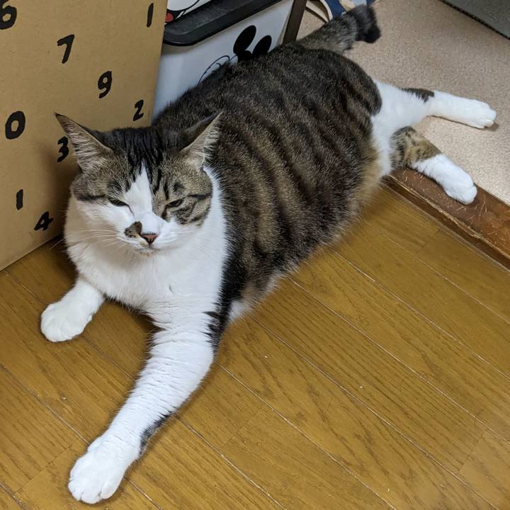 C2b04d98 3fcd 4e22 8ddb 3a900c1bb1af 1679057246041