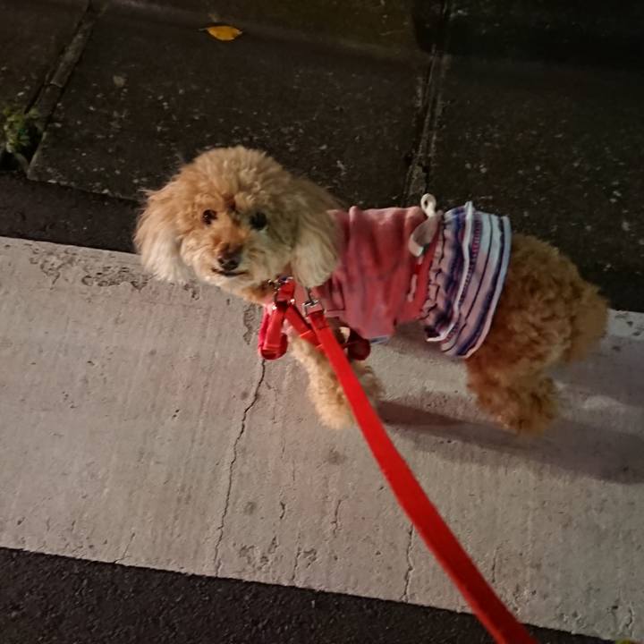 C2b05d4c 010b 4b14 9e6f 258bb9f5a346 1542965900566