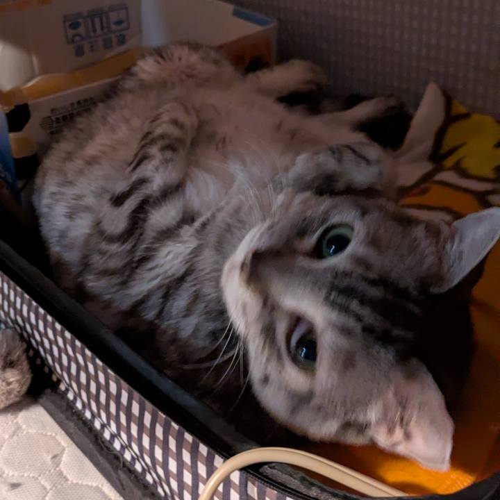 C2b071e5 03fc 4110 b8e0 691c55adc8e6 1763055925244