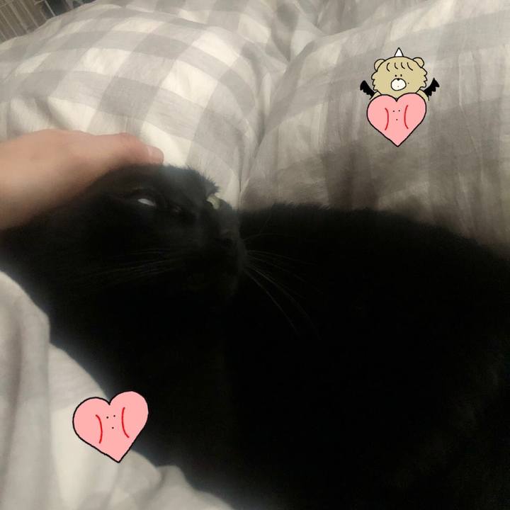 C2b09761 c706 450f 9480 69db7898b136 1670029937026