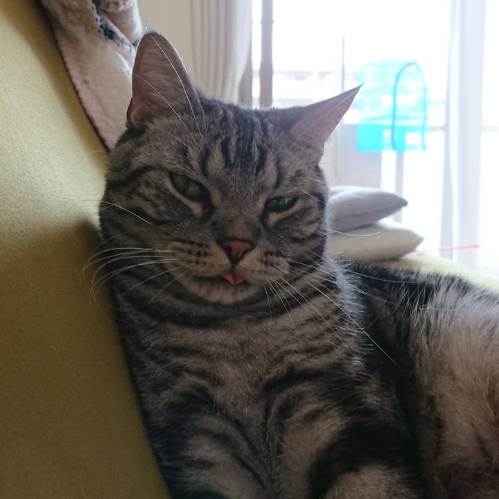 C2b0b4c4 2c77 4585 b3fa 3aa729e31830 1526433336754