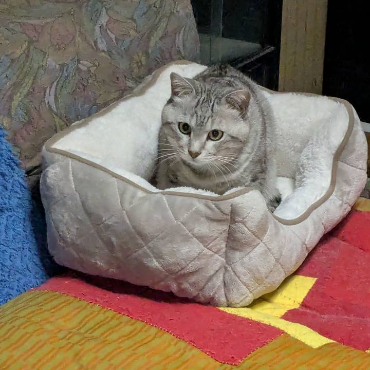 C2b0b939 c388 4568 9d5f efaaf7494b8b 1760624117420