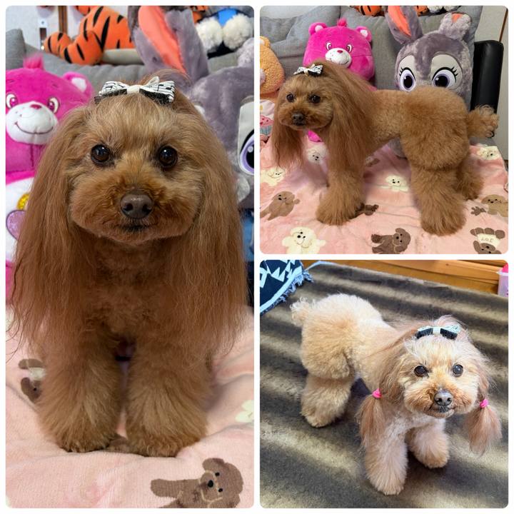 C2b0e147 cb3f 4e00 ba8b 18d1d497df1d 1775113765462