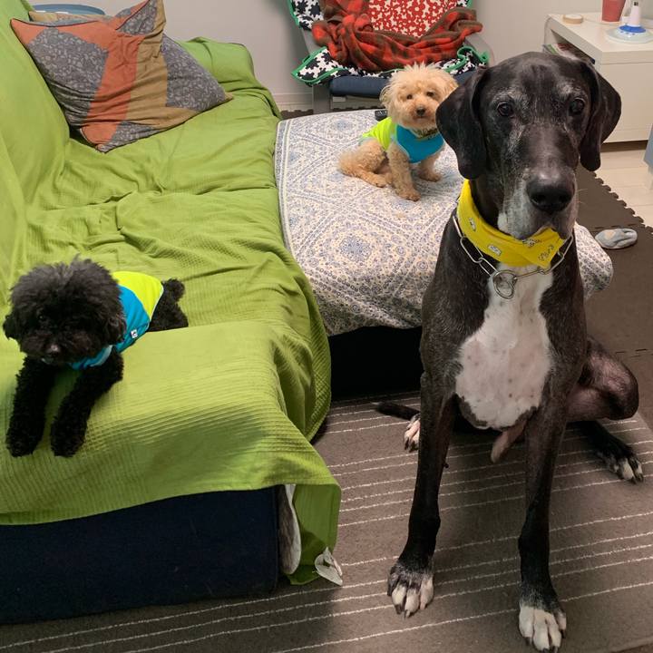 C2b11115 de89 424b a5d7 caf56bdd08b1 1565130143496