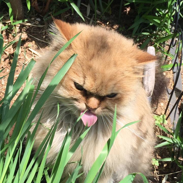 C2b13151 3f10 48f9 9665 4f918b501548 1557629896858